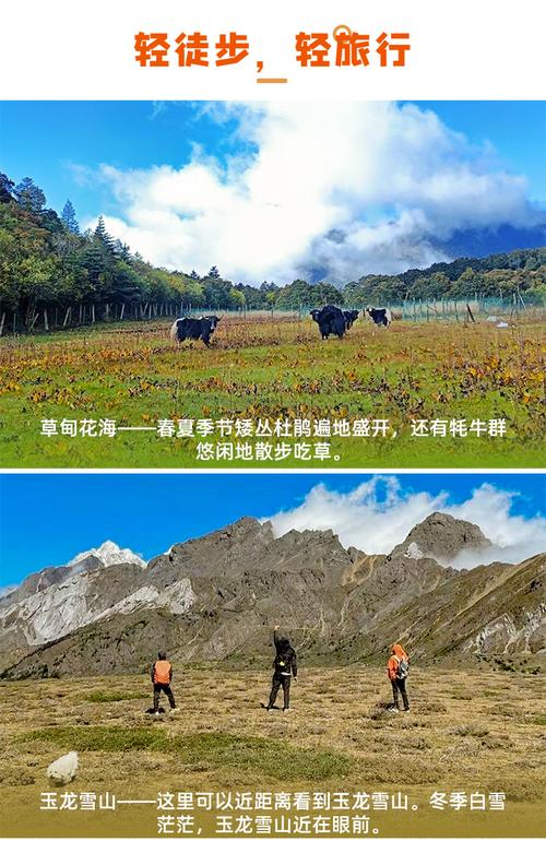 旅游招徠與委托操作的法律關(guān)系解析 以福建東南游國(guó)際旅行社為例