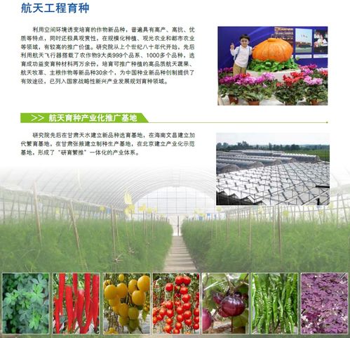 航天工程育種