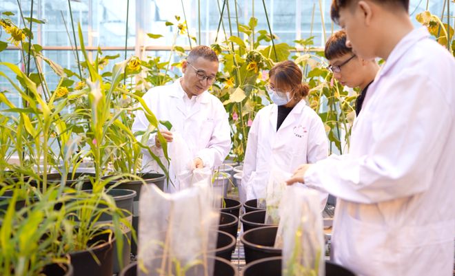 沈志成:創新生物育種技術,可以有所為有所不為丨新年問大咖